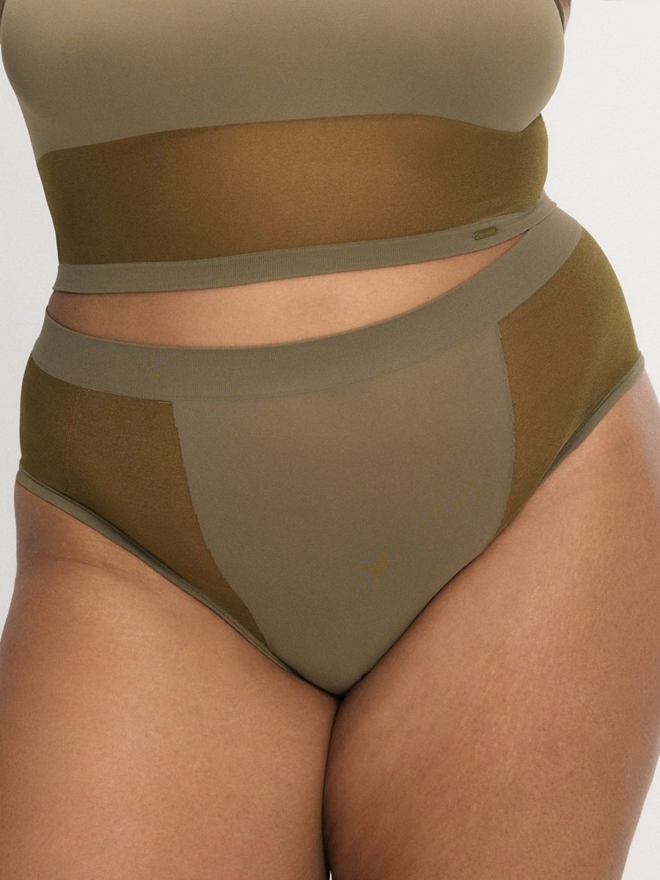 In The Spotlight Sheer High-Waist Cheeky Panty