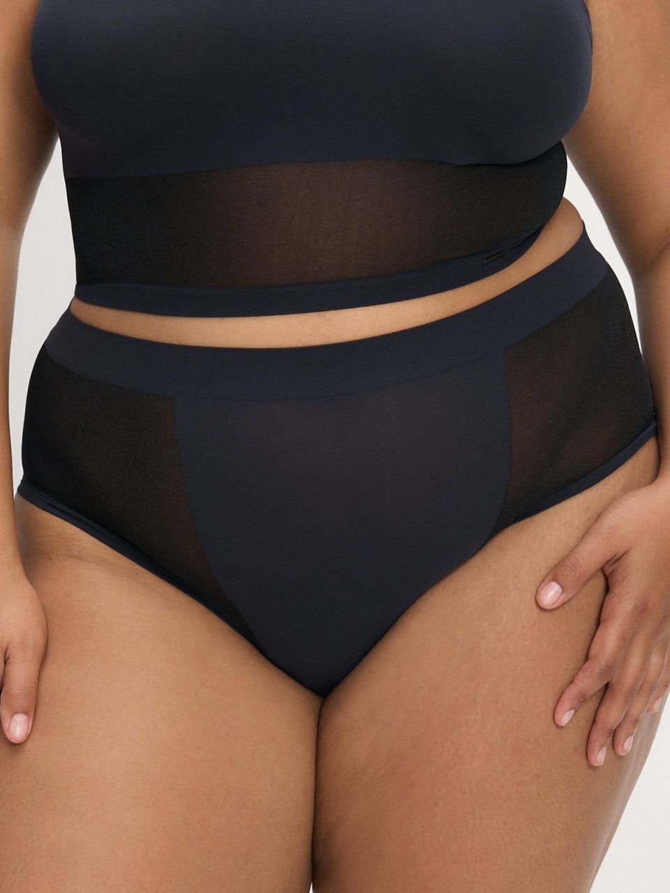 In The Spotlight Sheer High-Waist Cheeky Panty