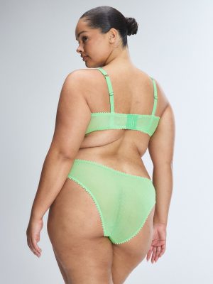 Mesh Around Cheeky Panty