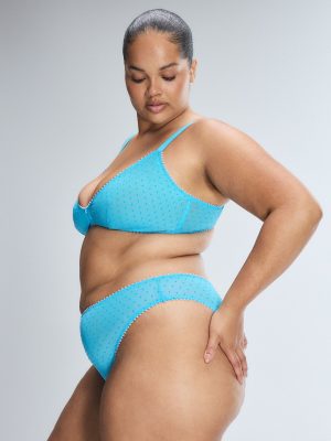 Mesh Around Cheeky Panty