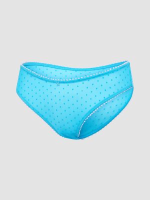 Mesh Around Cheeky Panty