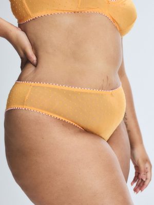 Mesh Around Cheeky Panty