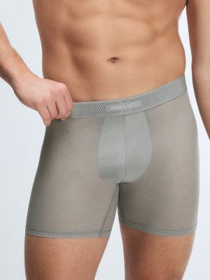 Sheer For It Boxer Briefs