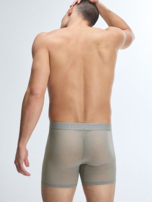 Sheer For It Boxer Briefs