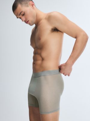 Sheer For It Boxer Briefs