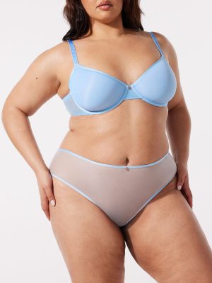 Sheer X Cheeky Panty