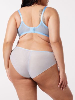 Sheer X Cheeky Panty