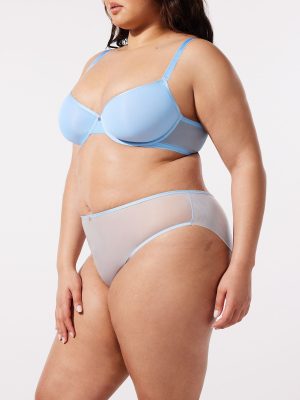 Sheer X Cheeky Panty