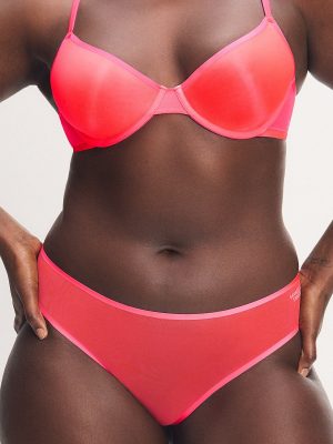 Sheer X Cheeky Panty