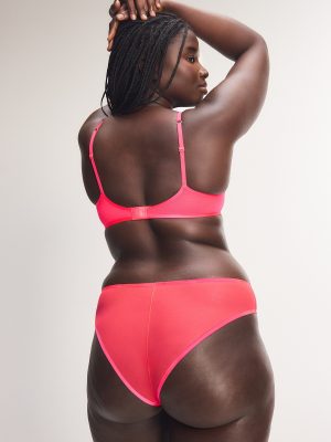 Sheer X Cheeky Panty